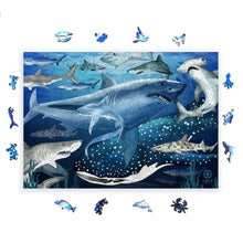 Load image into Gallery viewer, Sharks