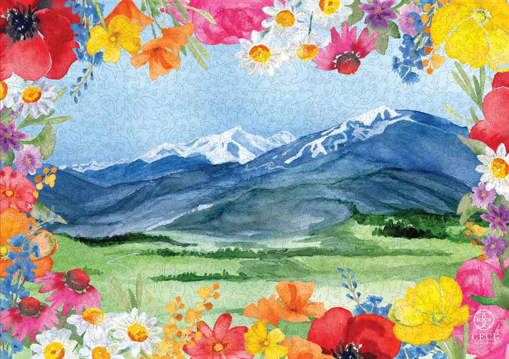 The Mountains of Colorado by Ceci New York