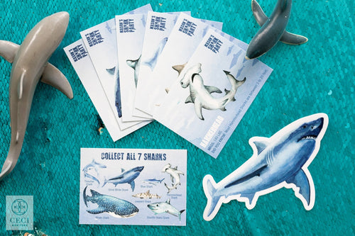 TEST PRODUCT DOWNLOAD #1