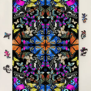 Butterfly Kaleidoscope