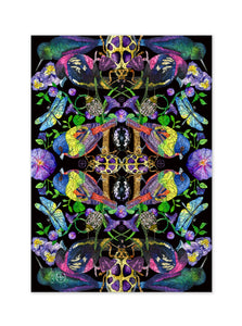 Winged Kaleidoscope