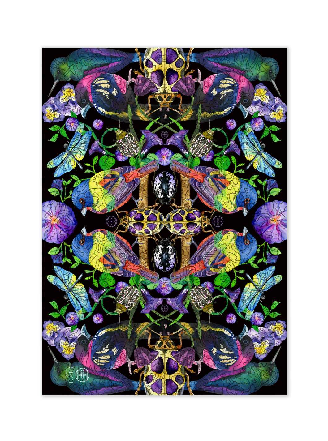 Winged Kaleidoscope