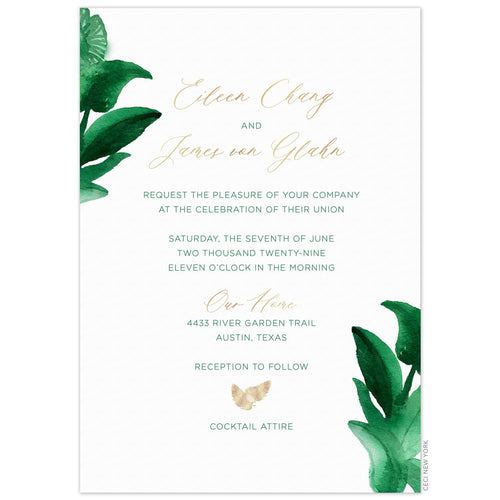 Vista Invitation